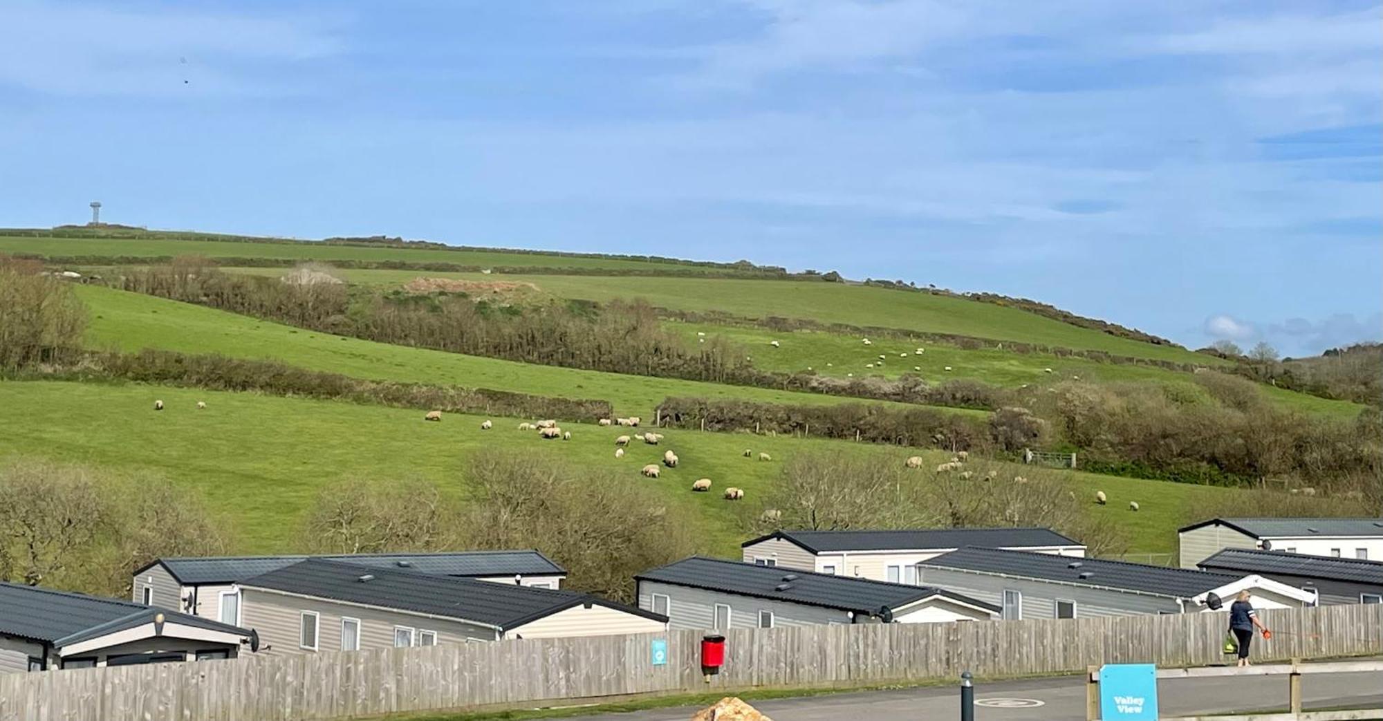 Newquay Bay Resort Sandy Toes - Pet Friendly Exteriér fotografie